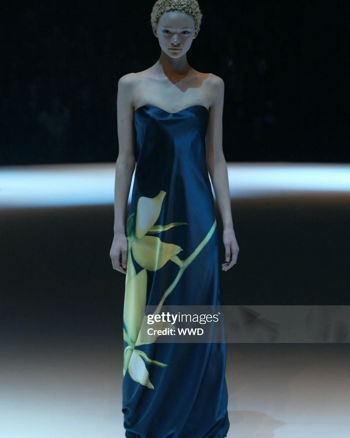 Alexander McQueen 2004 Orchid Print Silk Gown